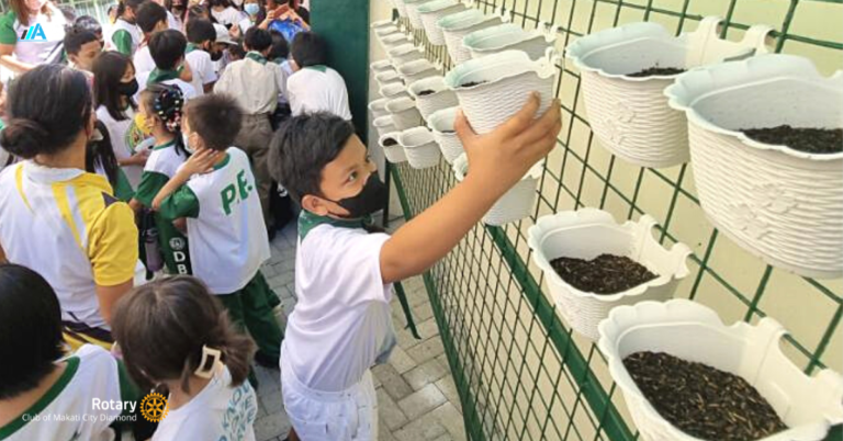ASEAMETRICS helps school kids build vertical school garden